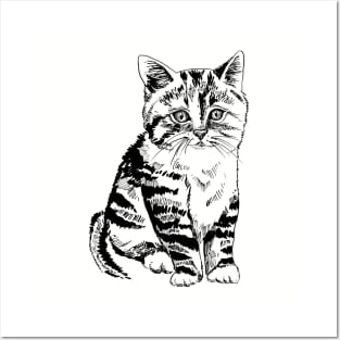 striped kitten Posters and Art